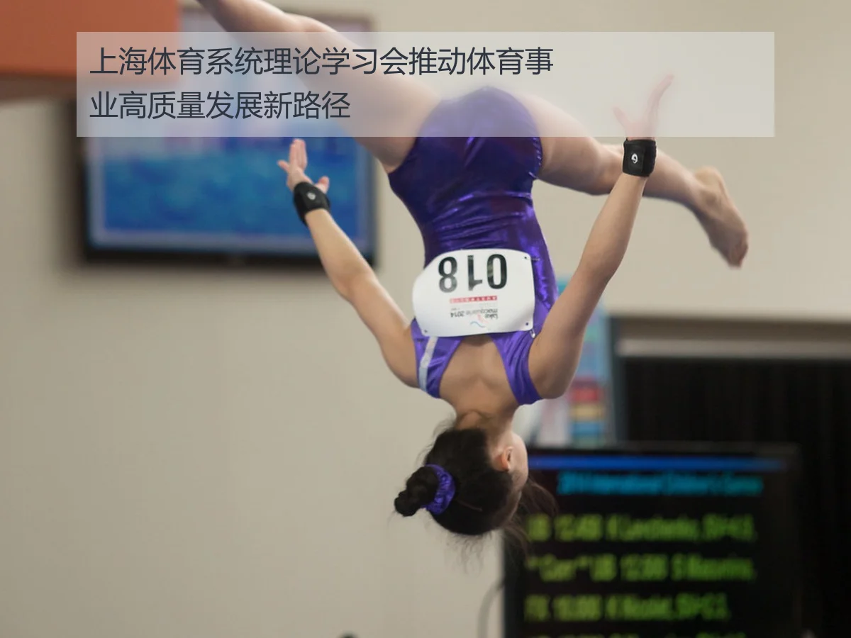 上海体育系统理论学习会推动体育事业高质量发展新路径